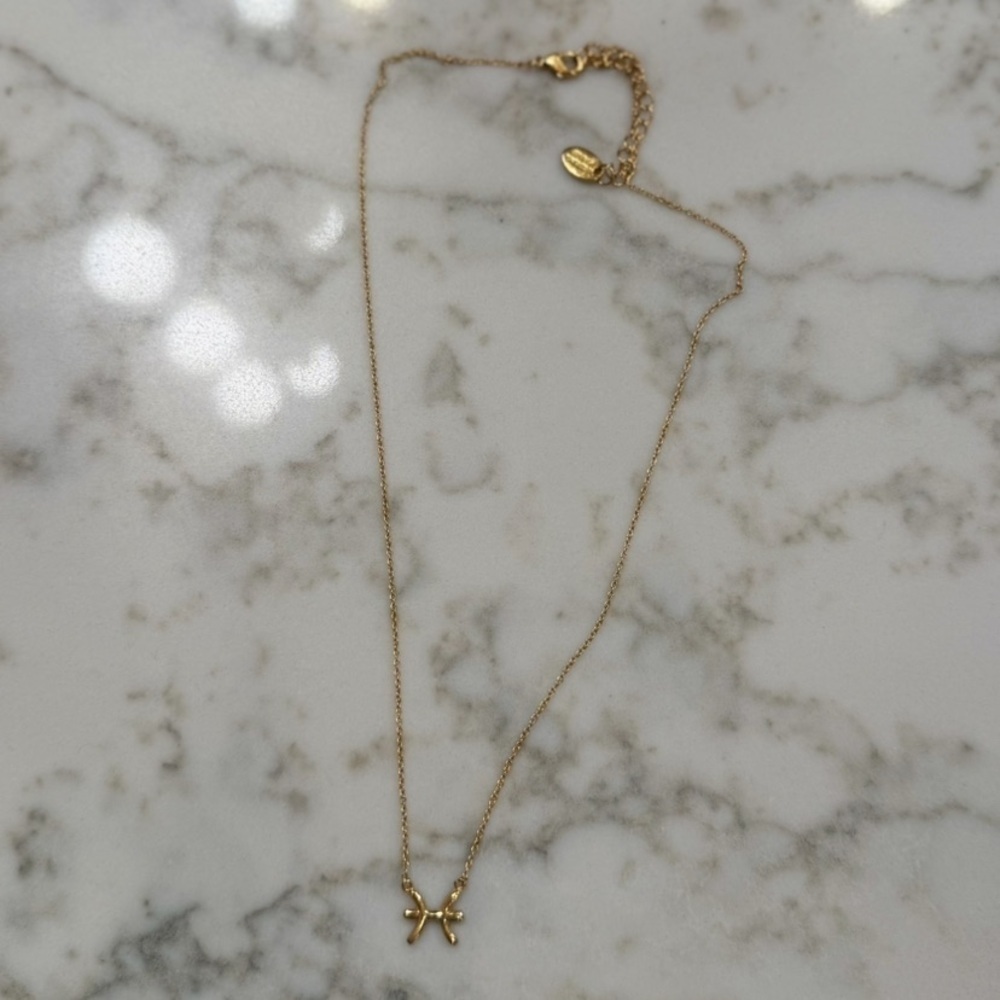 ⛱️Sterling Forever - Gold Pisces Zodiac Necklace - OS
